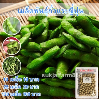 เมล็ดพันธุ์ ถั่วแระญี่ปุ่น หอมกลิ่นใบเตย เมล็ดพันธุ์ถั่วเเระญี่ปุ่น 25 เมล็ด [10 แถม 1 คละได้]