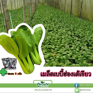 เมล็ดเบบี้ฮ่องเต้เขียว มินิ ริเลนฉ่อย ซอง 2 กรัม