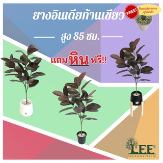 ( สินค้าใหม่ ) ต้นยางอินเดียก้านเขียว สูง 85 ซม. ต้นไม้ปลอมตกแต่งบ้าน Leeartplants