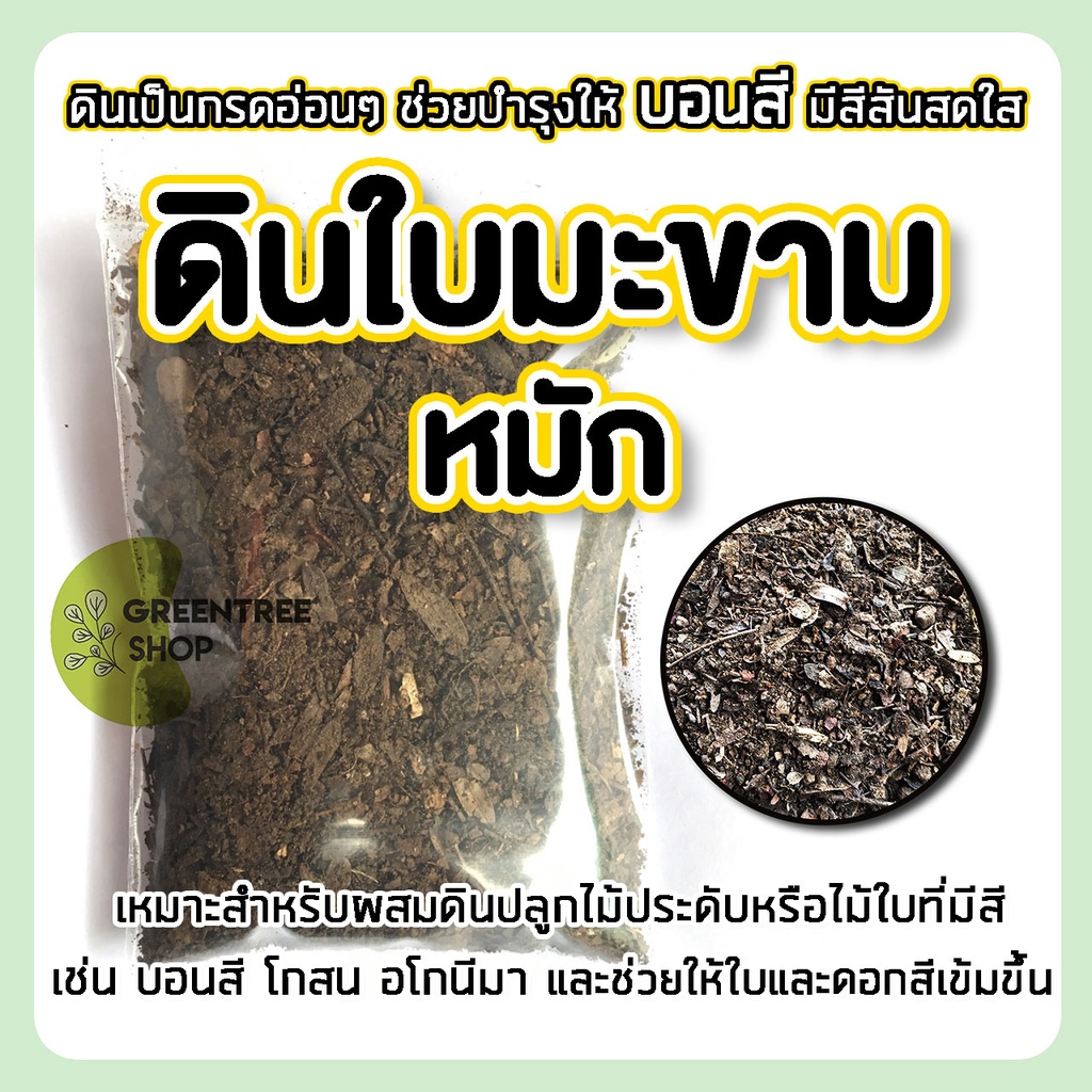 ดินใบมะขามหมัก สำหรับบอนสี โกสน