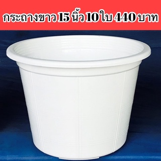 กระถางขาว 15นิ้ว 10ใบ