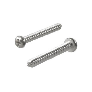 อุปกรณ์ยึดติด สกรูเกลียวปล่อย TP 4X1 นิ้ว 25 ตัว Screws, Nuts &amp; Washers