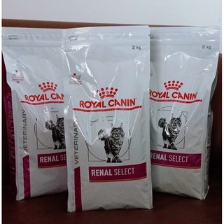 Royal Canin Cat Renal Select ขนาด 2 KG. 😻สำหรับแมวโรคไตเรื้อรัง😻