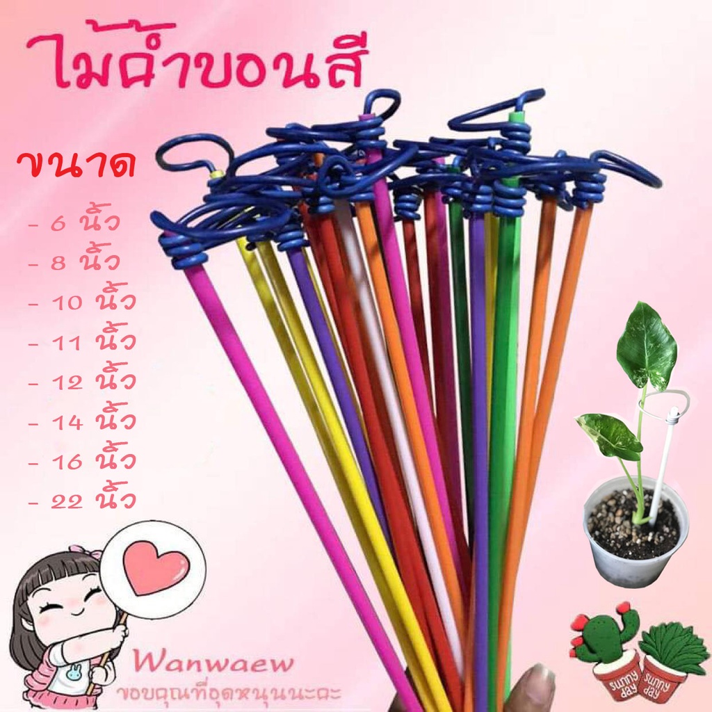 📣📣 ซื้อ 10 แถม 1 ไม้ค้ำบอนสี ก้านค้ำบอน ก้านบอน คละสี ราคาถูก บอนสี ทำให้บอนสีดูสวยงาม แข็งแรง ก้านไม่หัก ไม่งอ ฟร์อมสวย