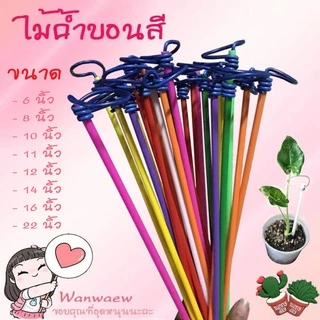 📣📣 ซื้อ 10 แถม 1 ไม้ค้ำบอนสี ก้านค้ำบอน ก้านบอน คละสี ราคาถูก บอนสี ทำให้บอนสีดูสวยงาม แข็งแรง ก้านไม่หัก ไม่งอ ฟร์อมสวย