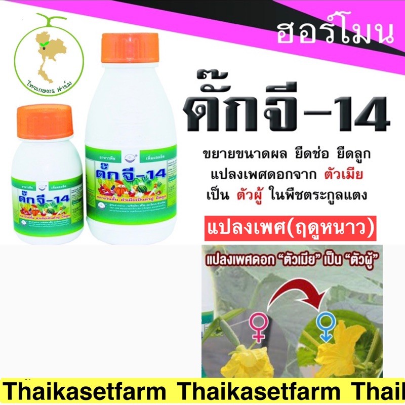 ดั๊กจี14(แปลงเพศฤดูหนาวตัวเมียเป็นตัวผู้)