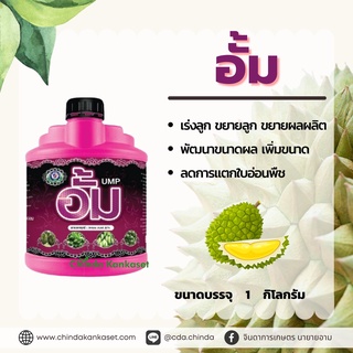 อั้ม (Ump) อัพไซส์ ขยายผล 1 กิโลกรัม