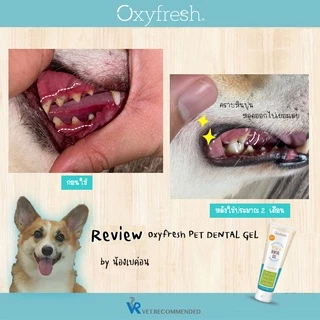 Oxyfresh Pet Dental Gel เจลทำความสะอาดฟันสำหรับสุนัขและแมว ลดกลิ่นปาก คราบหินปูน