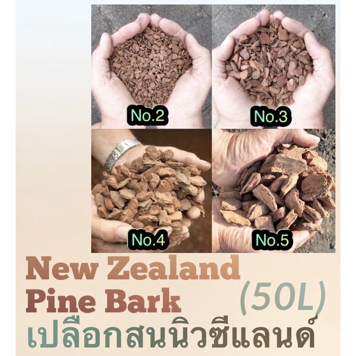✅เปลือกสนนิวซีแลนด์(New Zealand Pine Bark) ยกกระสอบ 50ลิตร~13-16กก.