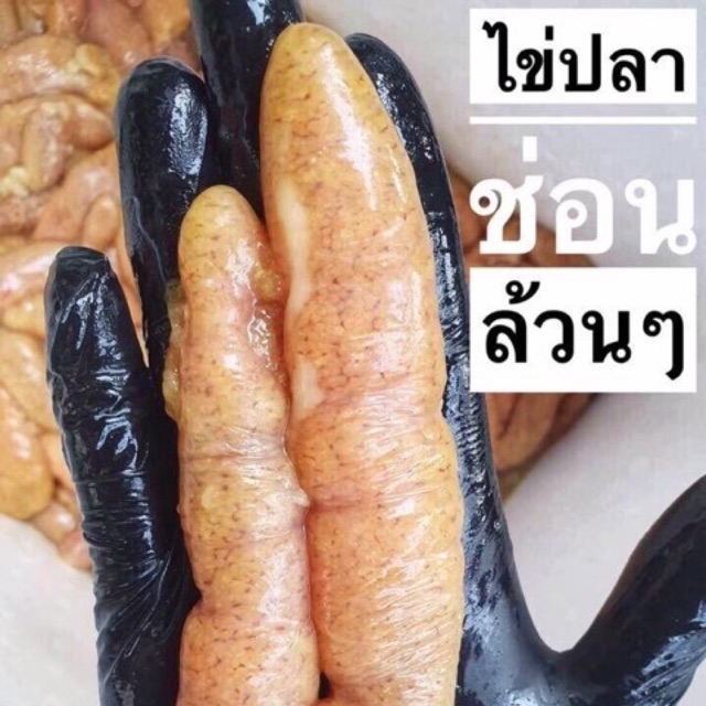 ไข่ปลาช่อนล้วนๆ ส่งฟรีทั่วประเทศ