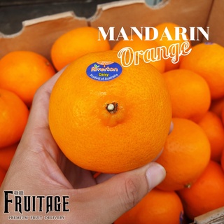 ส้มแมนดาริน ออสเตรเลีย Mandarin Orange (1แพค) (AUSTRALIA) ~ลดพิเศษ~ ส้มพันธุ์ที่อร่อยที่สุด หวานอมเปรี้ยว ส้มออสเตรเลีย