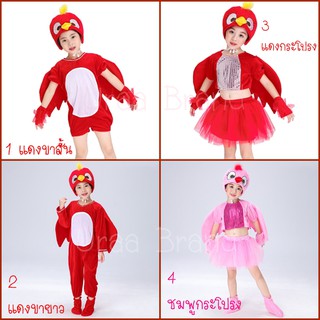 (พร้อมส่ง) ชุดแฟนซีนก ชุดนก รุ่น ชุดนกเด็ก ชุดสัตว์ แฟนซีเด็กนก Bird Fancy Kids นก