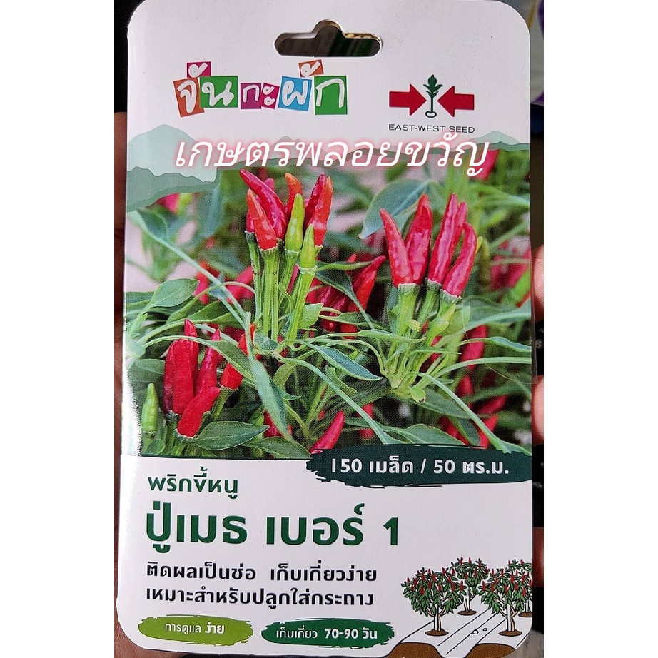 เมล็ดพันธุ์ พริก 🌶ปู่เมธ เบอร์ 1🌶หมดอายุ13/1/2567✅บรรจุ150เมล็ด พริกขี้หนูสวน พริกเม็ดเล็ก ทานกับข้า