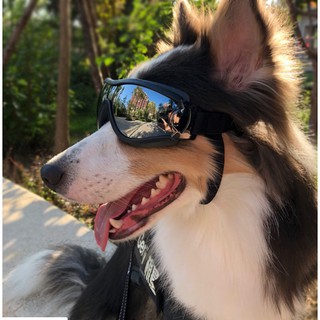 แววตาสุนัข PET glasses Dog Supplies แว่นตากันน้ำกันลมกันแดด UV Dog glasses