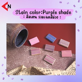 (PURPLE SHADE) CERAMIC STAINS COLORS สีสเตน รวมเฉดสีม่วง สีเคลือบเซรามิค ขนาดบรรจุ 100 กรัม/ขวด