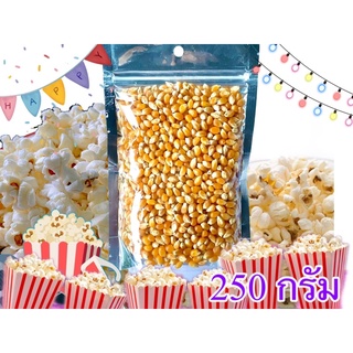 ข้าวโพดป๊อปคอร์น เมล็ดข้าวโพดป๊อปคอร์น popcorn พรีเมี่ยมนำเข้าจากอเมริกา ขนาด250กรัม