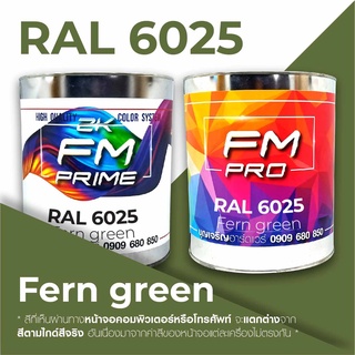 สี RAL6025 Fern green