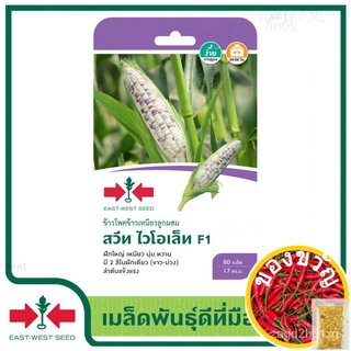 เมล็ดอวบอ้วน100%，ไทยในสต็อกพร้อมส่งEast-West Seed เมล็ดพันธุ์ข้าวโพด (Waxy corn seeds) สวีทไวโอเล็ท F1 เมล็ดพันธุ์ผัก เม