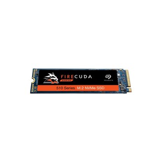 SATA SOLID STATE DRIVE ZP1000GM30011