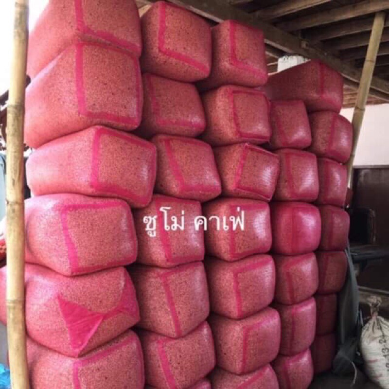 เมล็ดกาแฟกะลาใหม่ 1kg ผาฮี้อาราบิก้า 100%