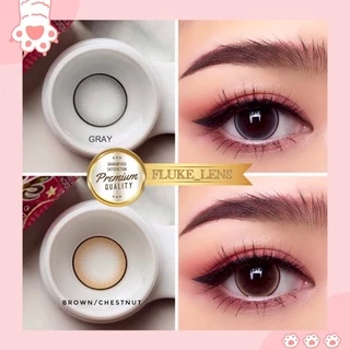 ตาโต แบ๊วสุดๆ ✨ Dream /Dreamma (ตาโต) ✨ รายเดือน ผลิตที่เกาหลี บางใส่สบาย Roze winkwow ดำ