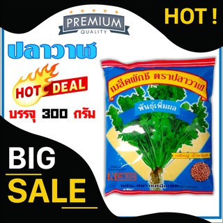 เมล็ดพันธ์ุผักชี ตราปลาวาฬ พันธุ์พูนผล ขนาด 300 กรัม เมล็ดผักชี ผักชี ผักชีปลาวาฬ