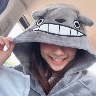 ผ้าคลุม Totoro