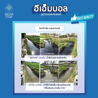 อีเอ็มบอลโต๊ตโตะ สูตรอเนกประสงค์ บำบัดน้ำ กำจัดกลิ่น บรรจุ 30 ลูก