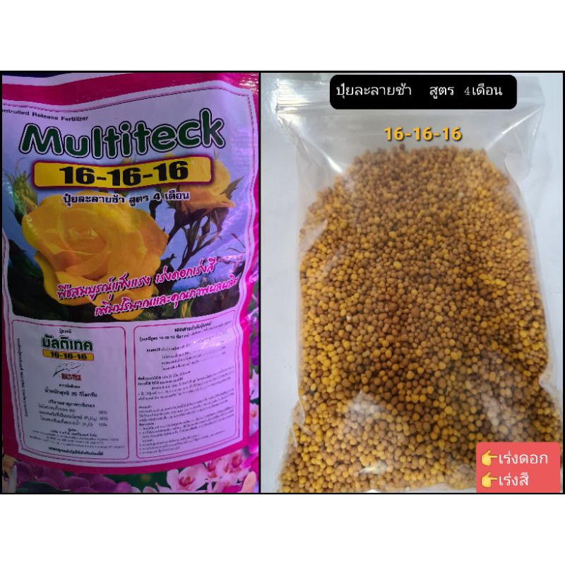 ปุ๋ยละลายช้า 500 g.(ของแท้)✅✅💯  สูตรเสมอ 16-16-16สูตร 4เดือน มัลติเทค ( ปุ๋ยแคคตัส ปุ๋ยออสโมโค้ท)✅✅💯