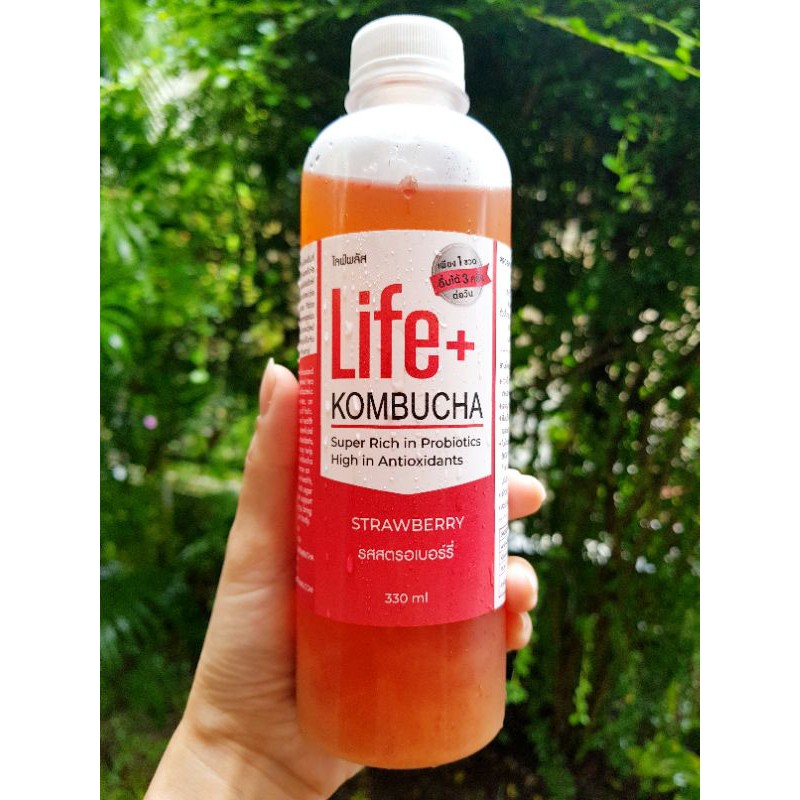Life+ KOMBUCHA organic 330ml คอมบูชา คอมบูชะ ชาหมัก ดีท็อกซ์ ท้องผูก โ