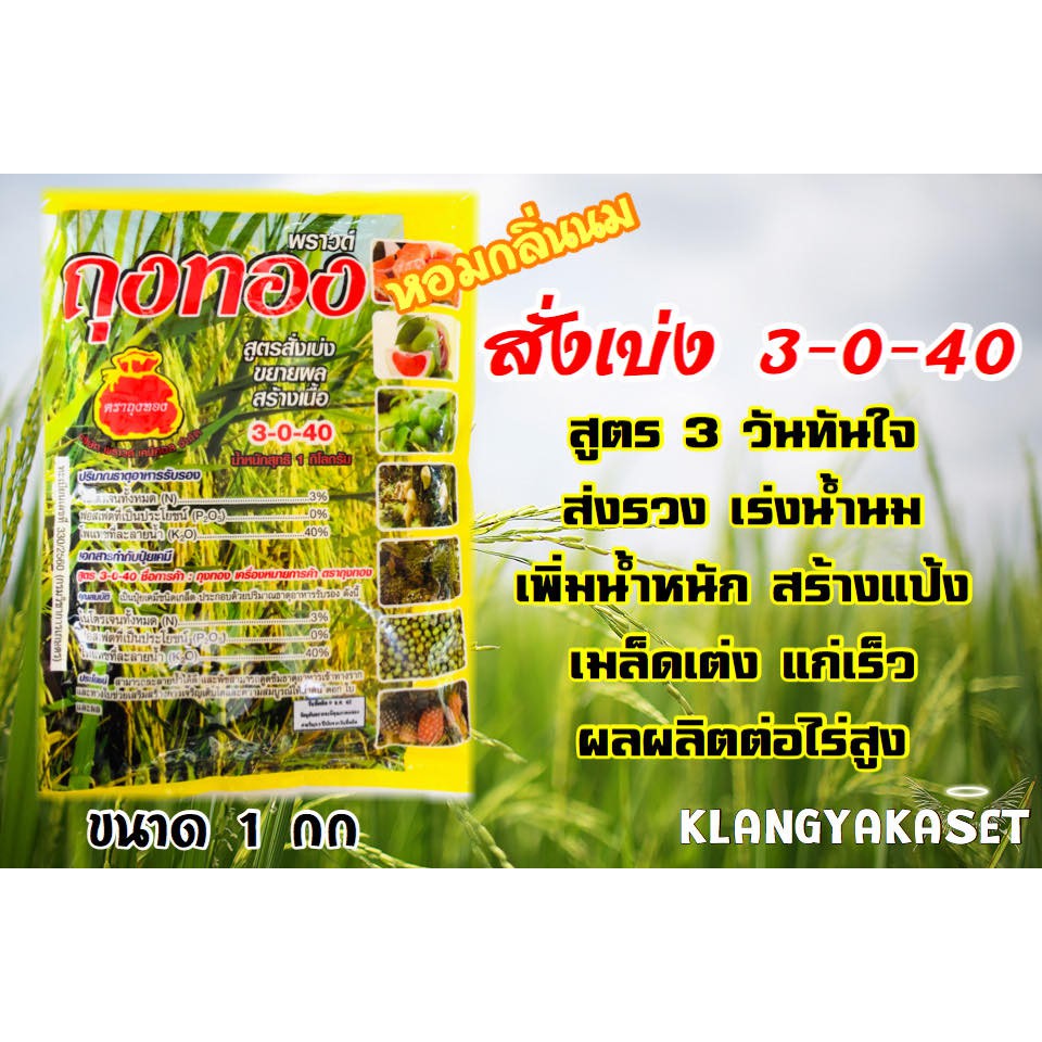ปุ๋ยเกล็ด สูตร 3-0-40 สั่งเบ่งสูตร 3 วันทันใจ ส่งรวง เร่งน้ำนม เพิ่มน้ำหนัก สร้างแป้ง เมล็ดเต่ง แก่เร็ว ขนาด 1 กก