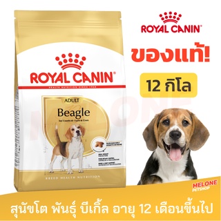 [หมดอายุ 12/2023] Royal Canin Beagle Adult อาหารสุนัข รอยัลคานิน บีเกิ้ล บีเกิล อายุ 12 เดือนขึ้นไป ขนาด 12kg