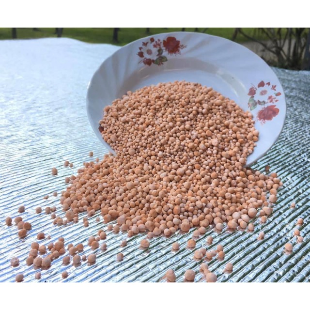 เม็ดสาคูต้นของแท้100% โรงสาคูยายนิด 1 กิโล