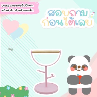 Lucky แพลตฟอร์มฝึกนกแก้วน่ารัก สําหรับนกเลิฟเบิร์ด