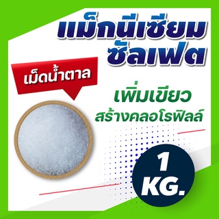 แม็กนีเซียม ซัลเฟต แฮปตะไฮเดรต Magnesium Sulphate Heptahydrate (MGSO4.7H2O) ขนาด 1 กิโลกรัม