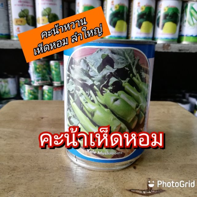 เมล็ดพันธุ์ผักคะน้าเห็ดหอม ลูกโลก ขนาด 60 กรัม
