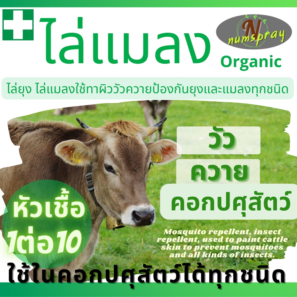 ไล่แมลงวัน แมลงหวี ใช้กับวัวควาย สัตว์ทุกชนิดไ ในบ้าน ในคอกปศุสัตว์ กันแมลง ดูแลผิวหนัง เห็บหมัด ปลอดภัย100% กลิ่นไม่ฉุน
