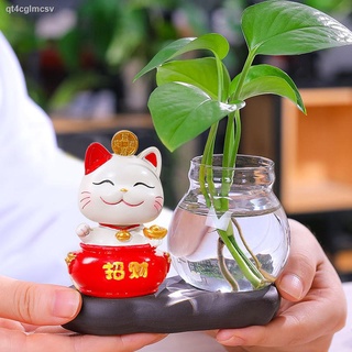 แมวนำโชค ของตกแต่งบ้าน การตกแต่ง ✇❉Creative แจกันแก้วน้ำวัฒนธรรม hydroponic plant เครื่องใช้ดอกไม้แห้งการจัดดอกไม้ตกแต่ง