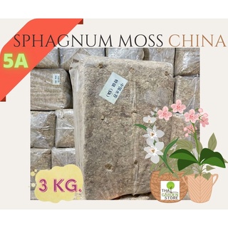 สแฟกนั่มมอสจีน มอส ปลูกต้นไม้ เกรด5A ขนาด 3 KG.Sphagnum Moss China Grade 5A