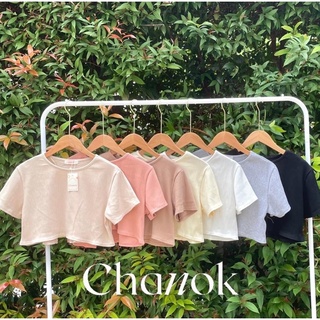 ❗️พร้อมส่ง❗️NOKS31 🧡เสื้อครอปแขนสั้นสีเอิร์ธโทน งานป้ายCHANOK