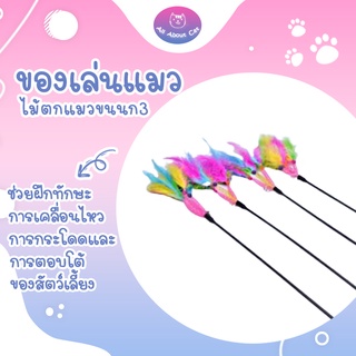 [ ABC cat ] ไม้ตกแมว แบบขนนก3 ไม้ล่อแมว ของเล่นแมว ของเล่นสำหรับแมว ไม้ตกแมวขนนก ยาว 60 cm.