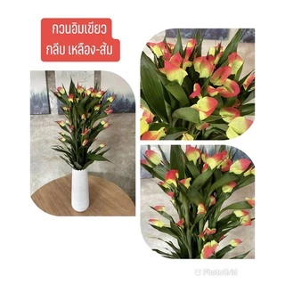 ไผ่กวนอิมแต่งกลีบดอก ไผ่กวนอิมเขียว ไผ่กวนอิม