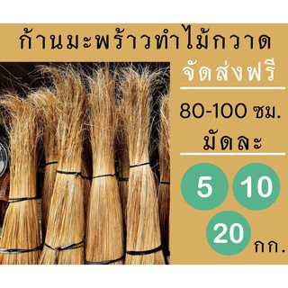 ก้านมะพร้าวแห้ง ก้านยาว 80-100 cm ก้านมะพร้าวใช้ทำไม้กวาด ก้านมะพร้าวใช้จักสานตะกร้า ถวายวัด งานฝีมือ