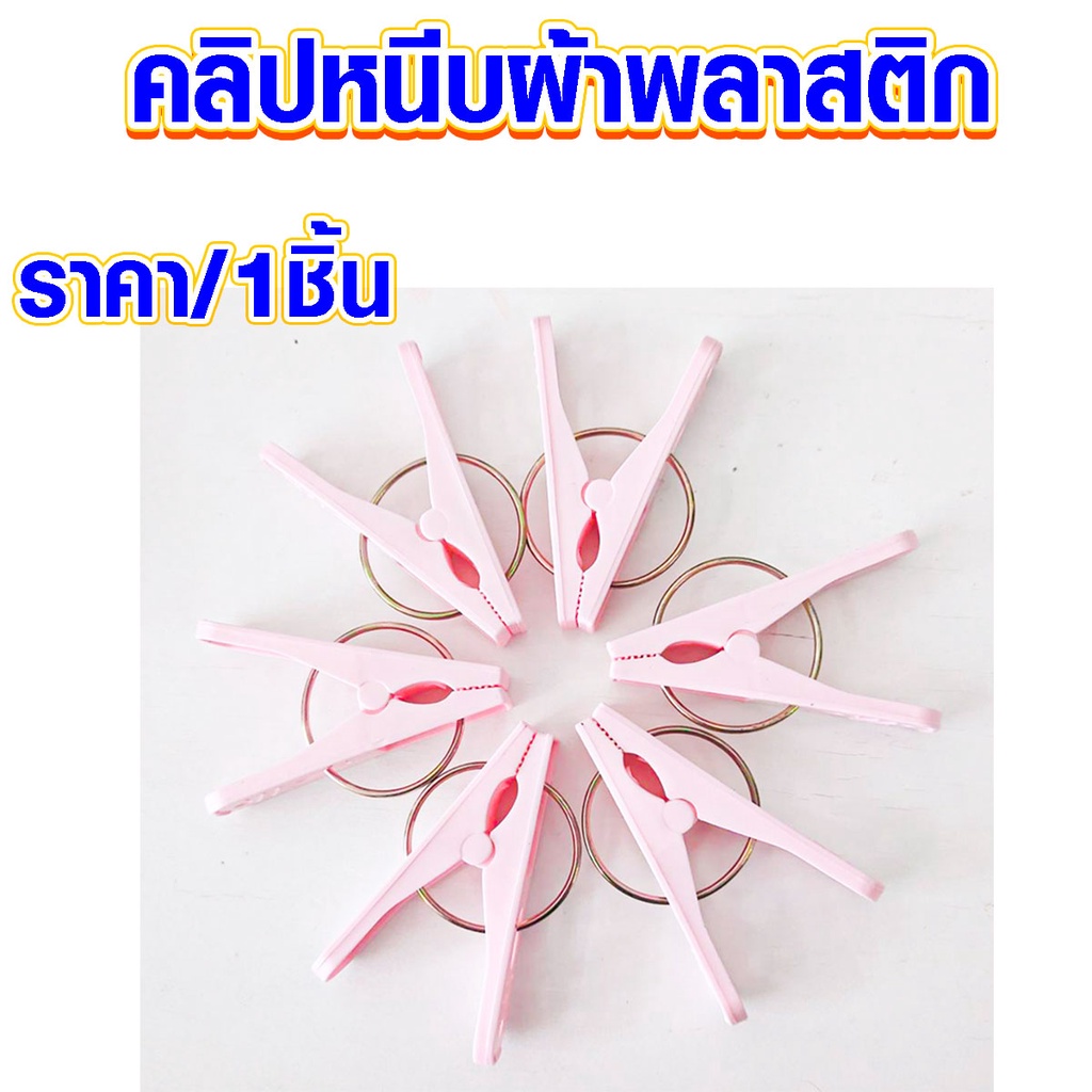 คลิปหนีบผ้า พลาสติก 01 ที่หนีบผ้า ตัวหนีบผ้า นิยมที่สุดตัวนี้ ใช้ทุกบ้าน ราคาถูก Clip DY