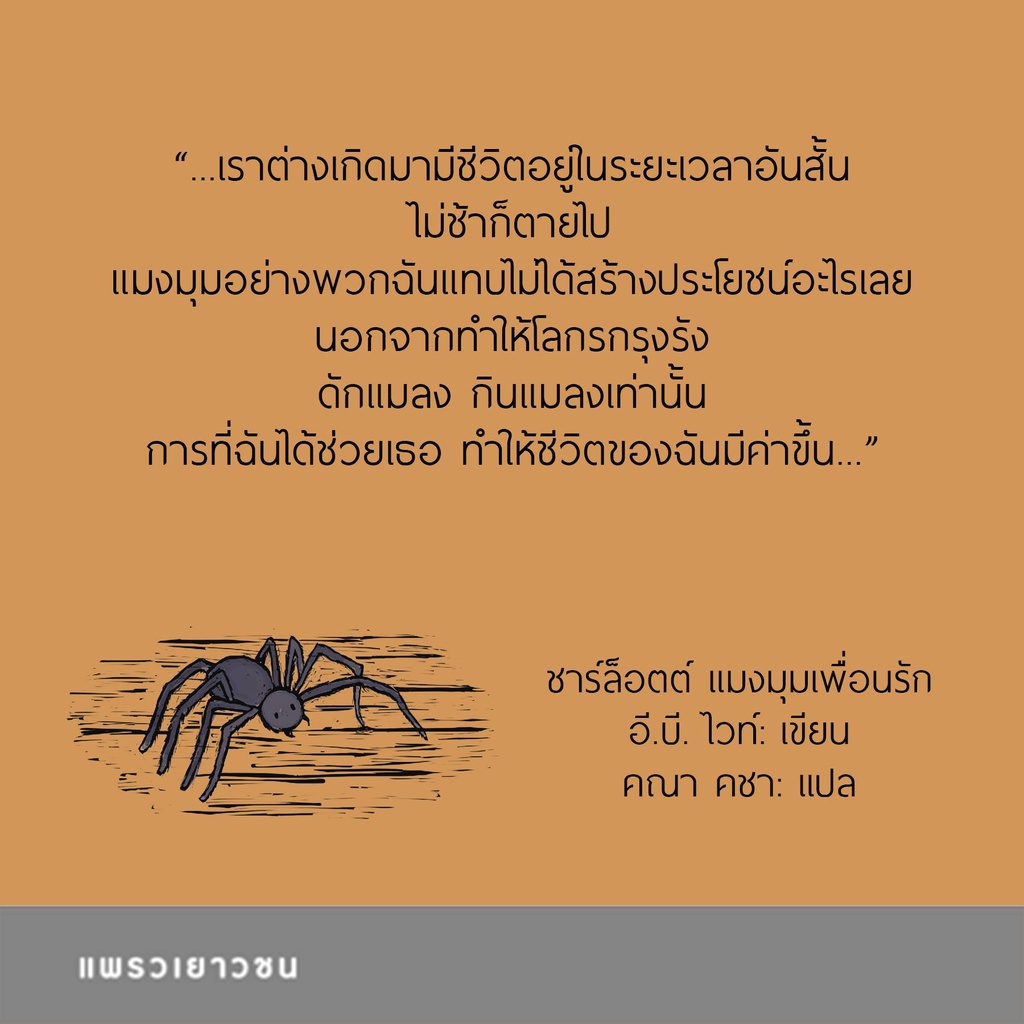 หนังสือ ชาร์ล็อตต์ แมงมุมเพื่อนรัก (Charlotte’s Web) : อี.บี. ไวท์ : แพรวเยาวชน ราคา ถูกที่สุด ดีลบีเคเค แกลเลอรีภาพที่ 3