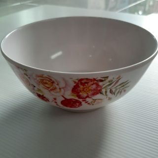 ถ้วยใส่อาหาร อย่างหนา