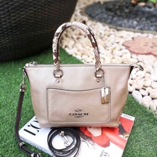 MINI EMMA SATCHEL (COACH F38877) PLATINUM/SILVER