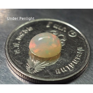 โอปอลหลากสี (Multi Opal) 0.96 กะรัต (13666)