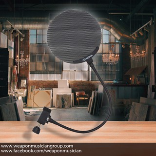 Alctron MA019 Studio Microphone Metal Screen