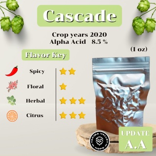 CASCADE(1oz) (บรรจุด้วยระบบสูญญากาศ)